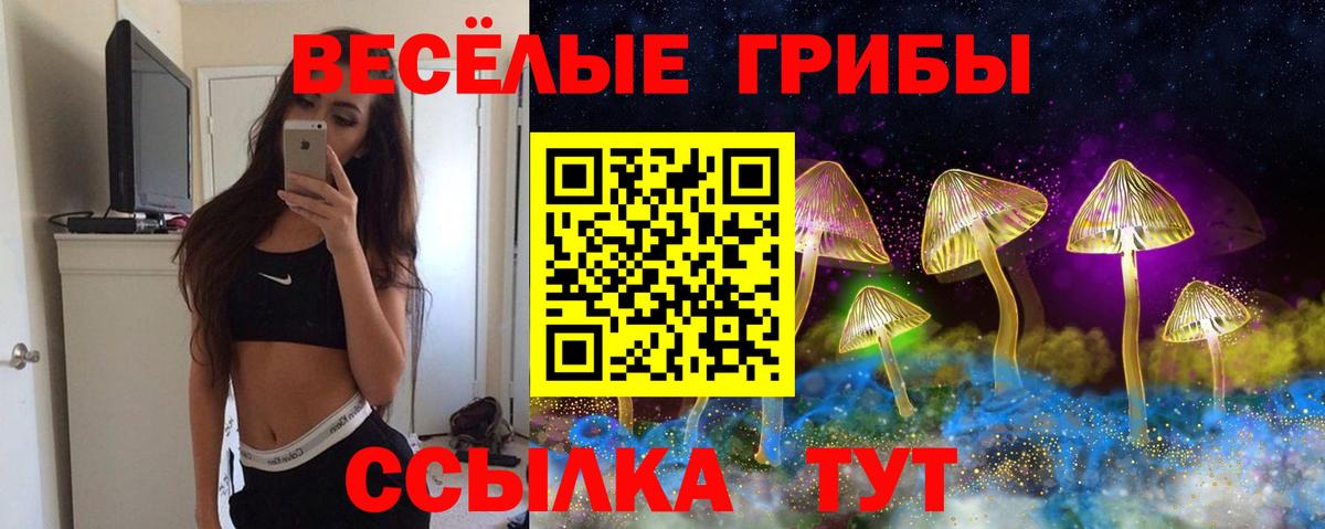 Гагарин  Галлюциногенные грибы GOLDEN TEACHER  Вход с VPN 
